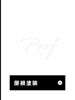 bnr_paintpart_roof_off